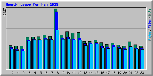 Hourly usage for May 2025