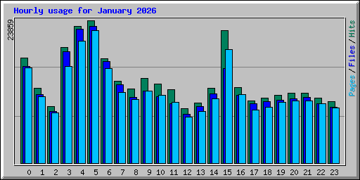 Hourly usage for January 2026