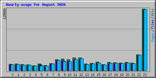 Hourly usage for August 2026