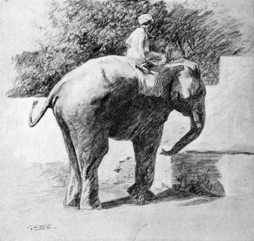A mahout riding on an elephant.