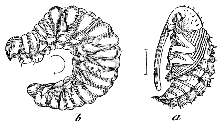 Fig. 16