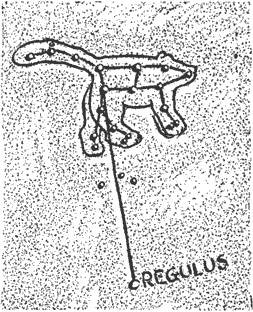 Regulus