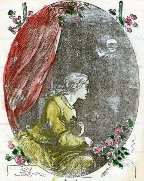 woman, flowers, curtain, moon