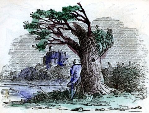 man, tree, wind, rain