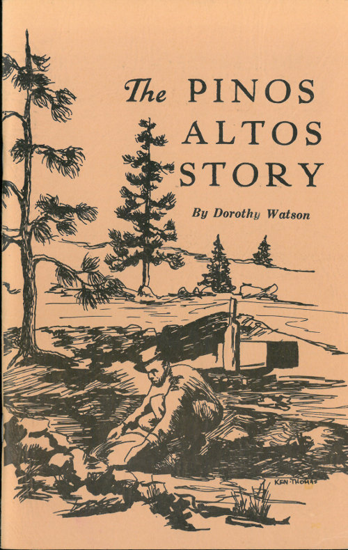 The Pinos Altos Story
