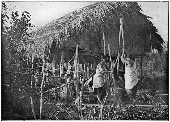 MIKIR WOMEN POUNDING PADDY.