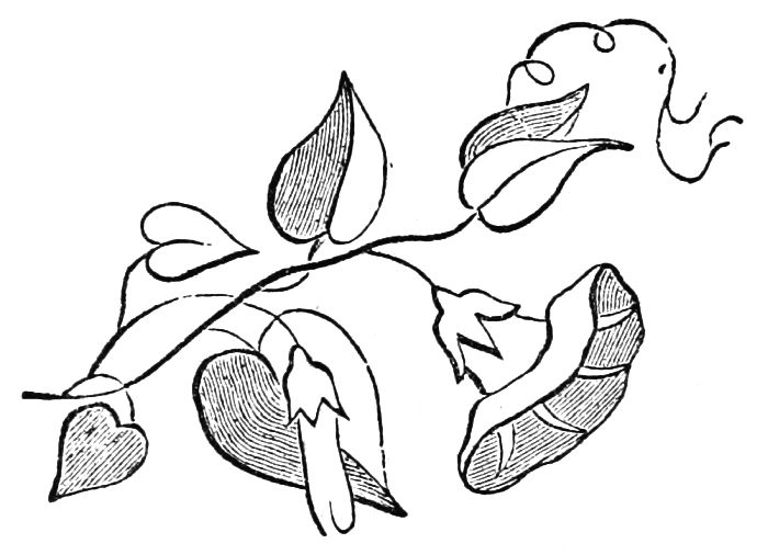 Flower and Leaf Pattern
